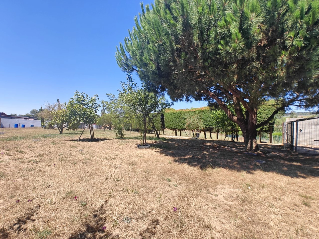 Moradia com piscina, grande área de terreno e vista para a Serra do Montejunto