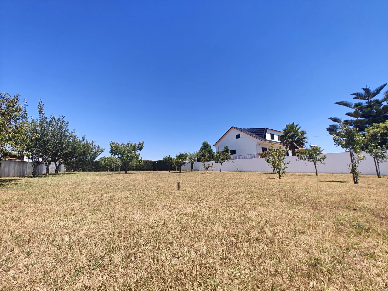 Moradia com piscina, grande área de terreno e vista para a Serra do Montejunto