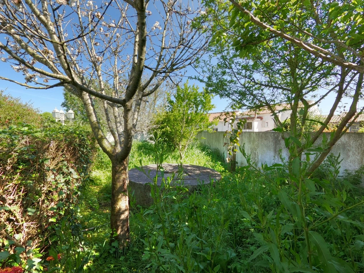 IDe7ddd301-0000-0500-0000-000019f0ad90.jpg Moradia T4 com jardim, piscina e garagem, muito perto de Óbidos e das praias